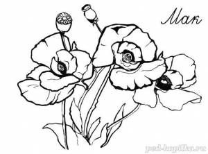 Раскраска для детей