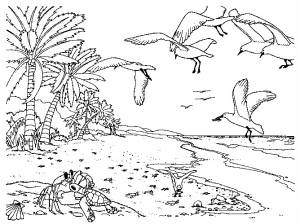 МОРЕ  РАСКРАСКИ