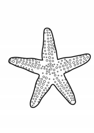 Раскраска море