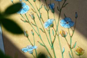 Раскраска антистресс «Лён №2