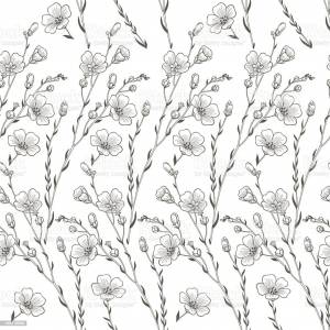 Лен раскраска