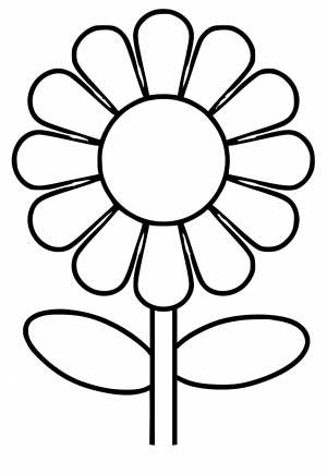 Раскраска Подсолнух Легкий