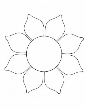 Раскраска Подсолнух для детского сада