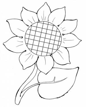 Раскраска Идеальный подсолнух