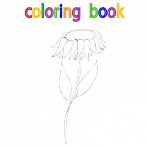 Книжка-раскраска подсолнух