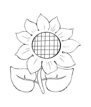 Раскраска Подсолнух