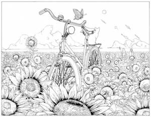 Раскраски подсолнух, Раскраска подсолнухи