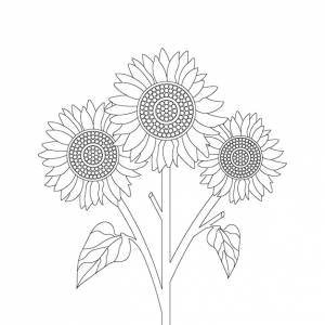 раскраски подсолнуха книги с векторной иллюстрацией цветочного эскиза линии искусства