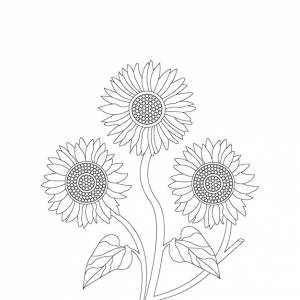раскраски подсолнуха книги с векторной иллюстрацией цветочного эскиза линии искусства