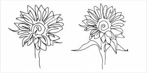 Набор подсолнухов в стиле одной линии