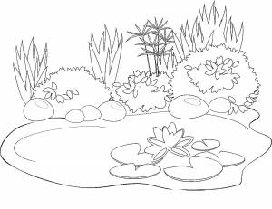 Раскраска Пруд