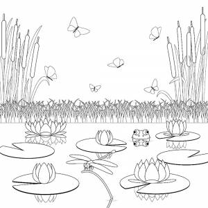 Раскраска пруд