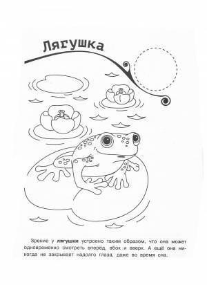 Раскраска Пруд