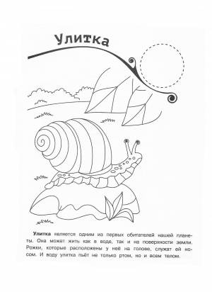 Раскраска Пруд