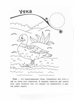 Раскраска Пруд