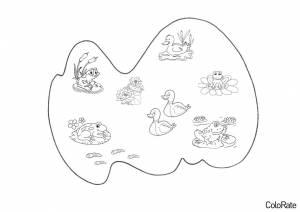 Раскраска Обитатели пруда