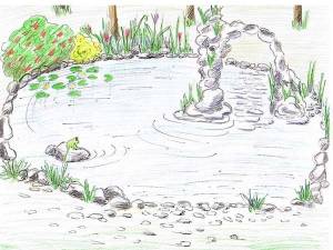 DataLife Engine > Версия для печати > Пруд рисунок поэтапно