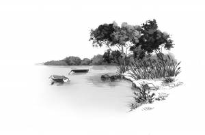 Рисунок реки карандашом