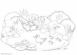 Пруд раскраска для детей