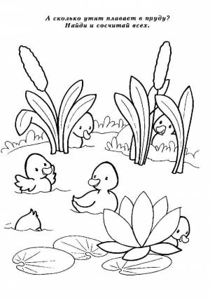 Раскраски Раскраска Утята в пруду Обучающие раскраски детские