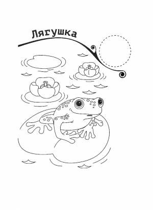 Раскраска Пруд