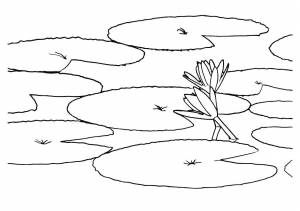 Картинки озеро раскраска