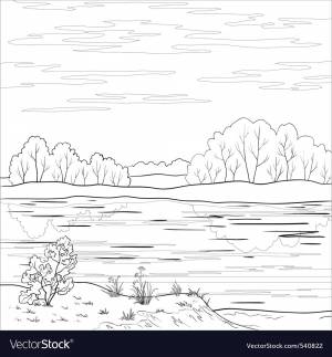 Раскраска пруд