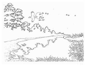 Картинки озеро раскраска