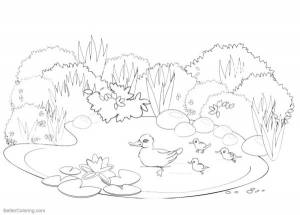 Картинки озеро для раскрашивания