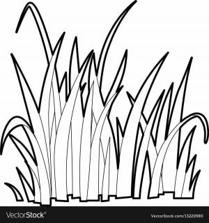 Раскраски Камыши для детей