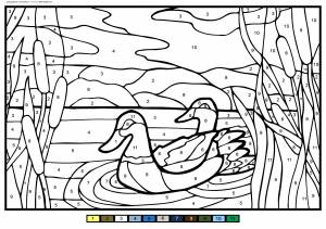 Раскраска Утки в камышах