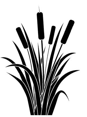 Трафареты Камыш