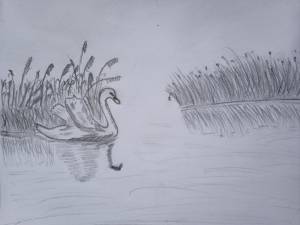 Природа рисунок карандашом