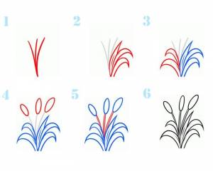 Камыш рисунок поэтапно