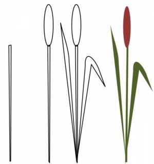 Как нарисовать камыши карандашом поэтапно?