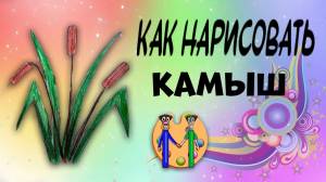 Как нарисовать камыш