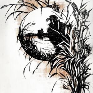 Камыш рисунок карандашом