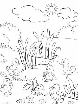 Раскраски Камыш   в формате