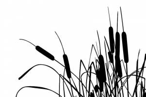 Раскраски Раскраска Камыш Контуры травы для вырезания, Сайт раскрасок