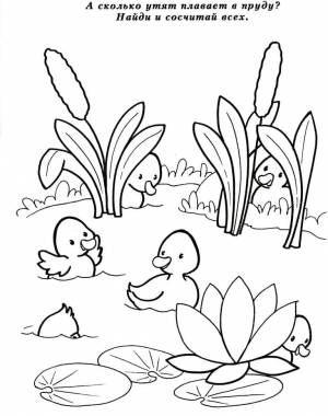 Раскраска Камыш