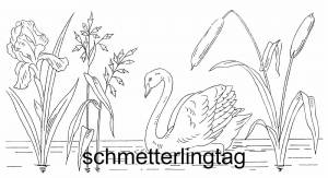 Камыш раскраска для детей