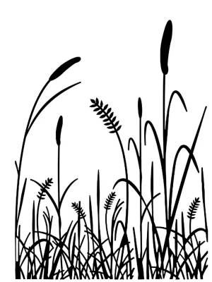 Раскраски Камыши для детей