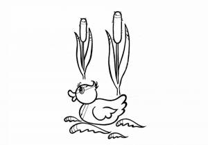 Раскраски Камыши для детей