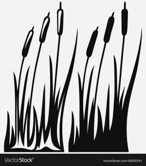 Раскраски Камыши для детей