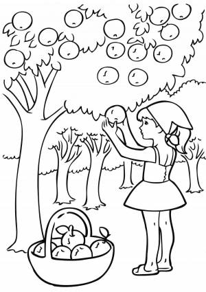 Раскраски Сад для детей