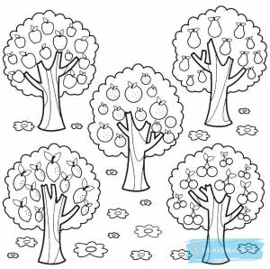 Раскраска фруктовый сад