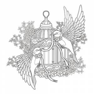 Раскраска Райский сад