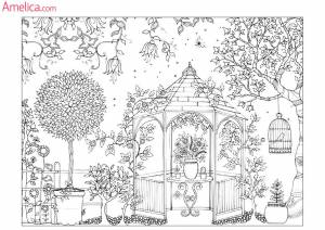 раскраски взрослые волшебный сад, зачарованный лес