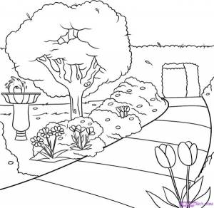 Как нарисовать сад