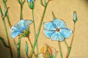 Раскраска антистресс «Лён №2